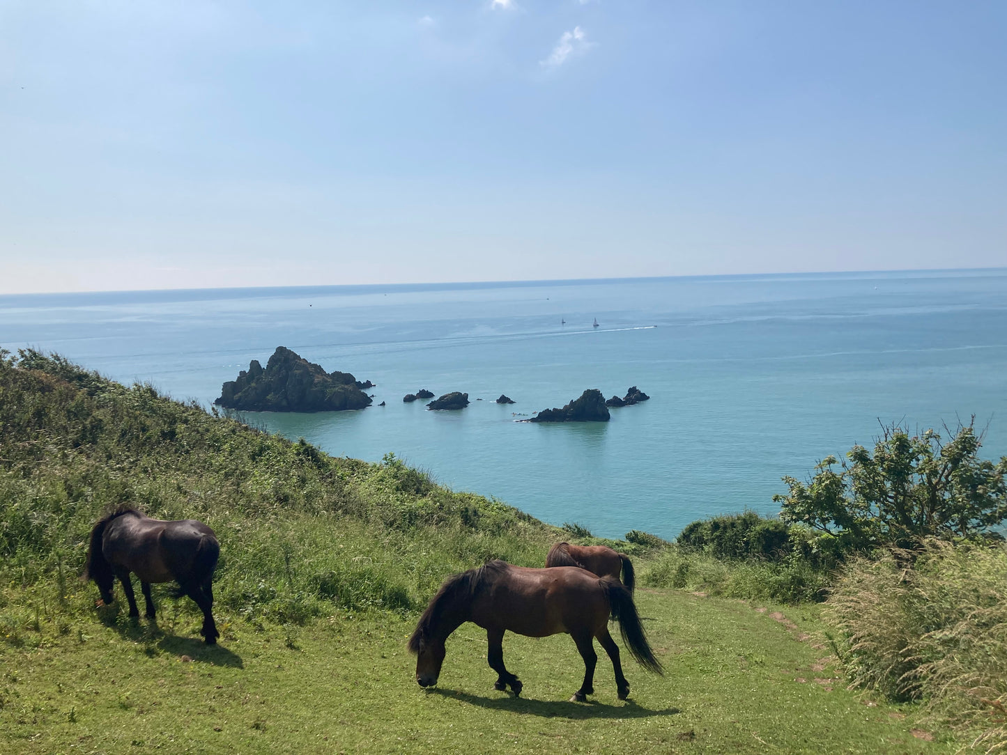 Becoming: A Very Long Walk & The Awakening of a Woman